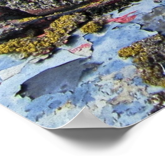 POSTER EMBLÉE DE LA BOUE DE CAMION DE DODGE 1947 (Coin)