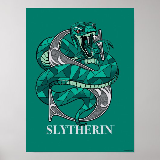 Poster Emblème croisé SLYTHERIN™ (Devant)