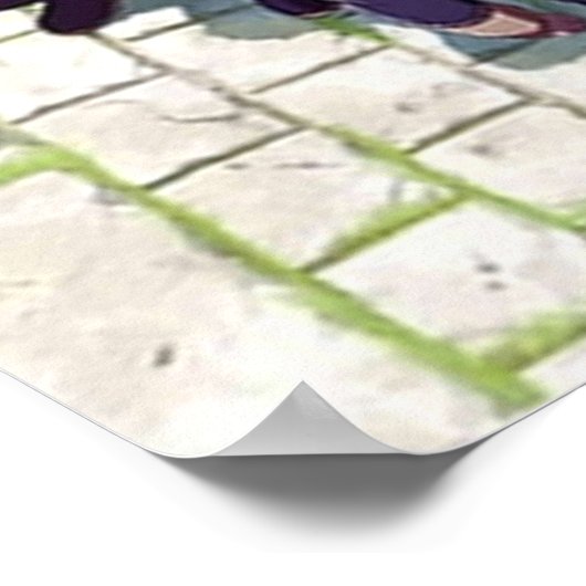 Poster Emblème de feu trois maisons (Coin)