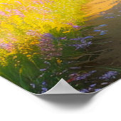 Poster Embrace de Meadow (Coin)