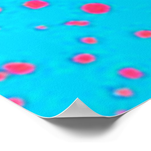 Poster Embrace Inner Peace & Joy (Coin)