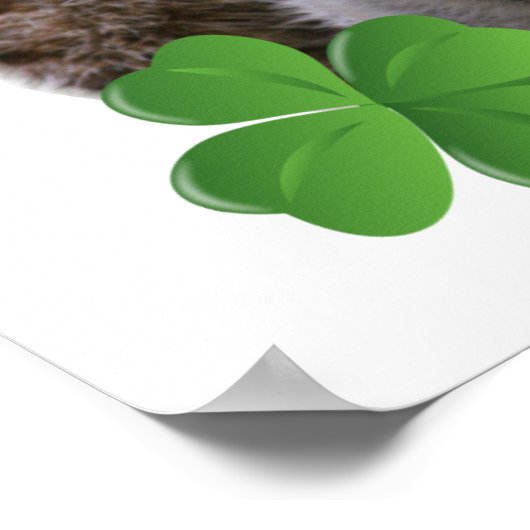 Poster Embrasse-moi Je suis un meerkat design irlandais (Coin)