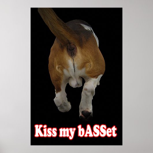 Poster Embrasse mon bASSet (Devant)