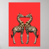 Poster Embrasser les girafes (Devant)