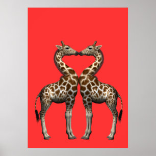 Poster Embrasser les girafes