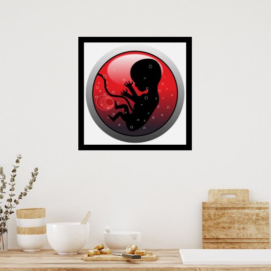 POSTER EMBRYO BÉBÉ HUMAIN (Cuisine)