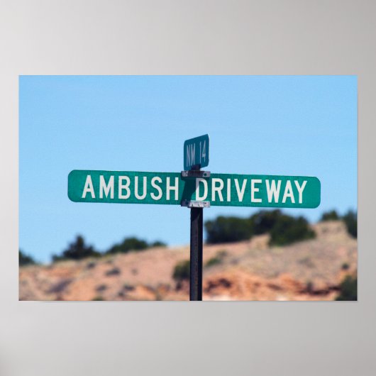 Poster Embuscade Driway in New Mexico (Devant)