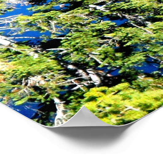 POSTER EMERALD BAY AU LAC TAHOE (Coin)