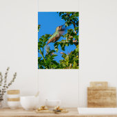 Poster Emerald Flash : Colibri en Mouvement (Cuisine)