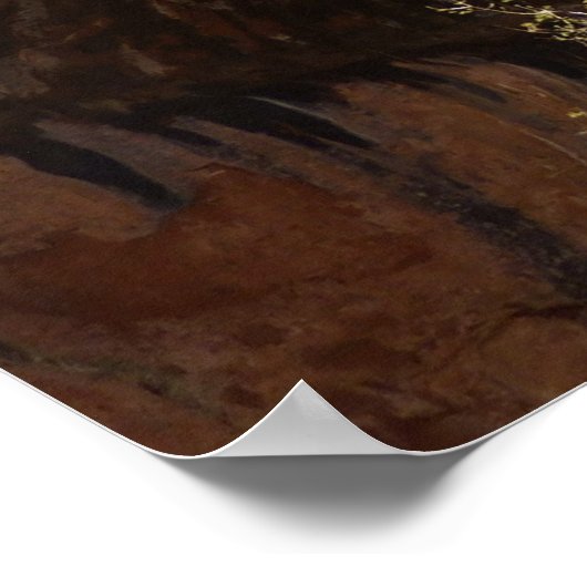 Poster Emerald Pool Falls I du parc national Zion (Coin)