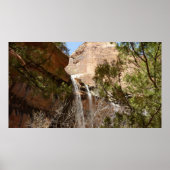 Poster Emerald Pool Falls I du parc national Zion (Devant)