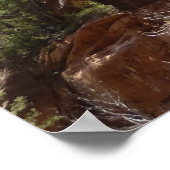 Poster Emerald Pool Falls III du parc national Zion (Coin)