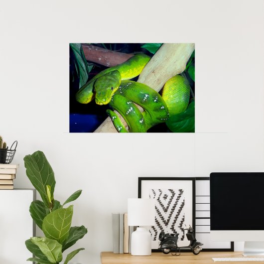 Poster Emerald Tree Boa (Bureau à domicile)