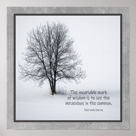 Poster Emerson Citation Pour voir le miracle (Devant)