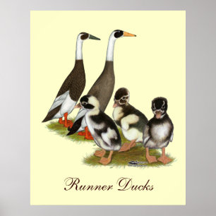 Poster Emery Penciled Runner Duck Family