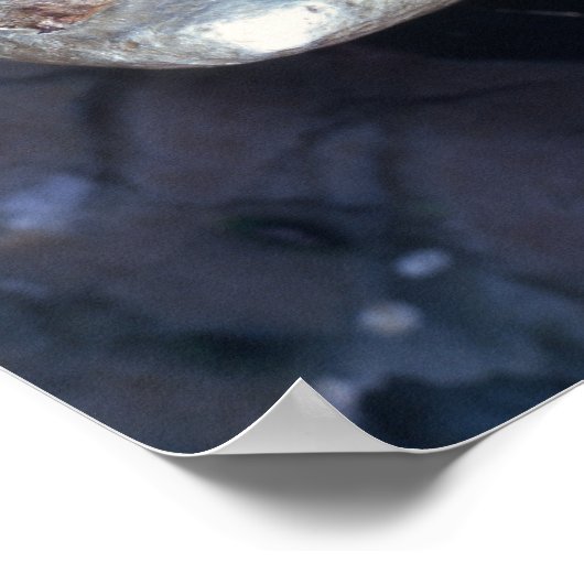 Poster Émetteur électrique, c.600 BC (Coin)