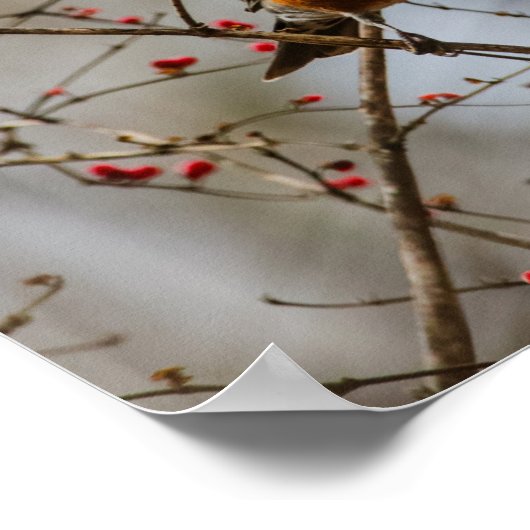 Poster Emily Dickinson Citation d'oiseau (Coin)