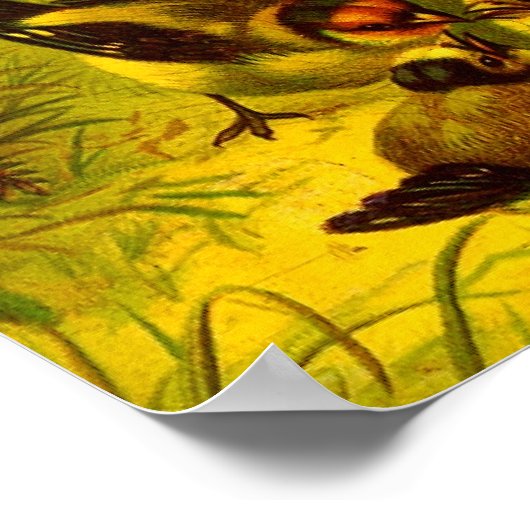 Poster Emily Dickinson "Hope" (Coin)