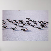 Poster Éminceur (Devant)