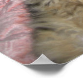 Poster Éminents (Coin)