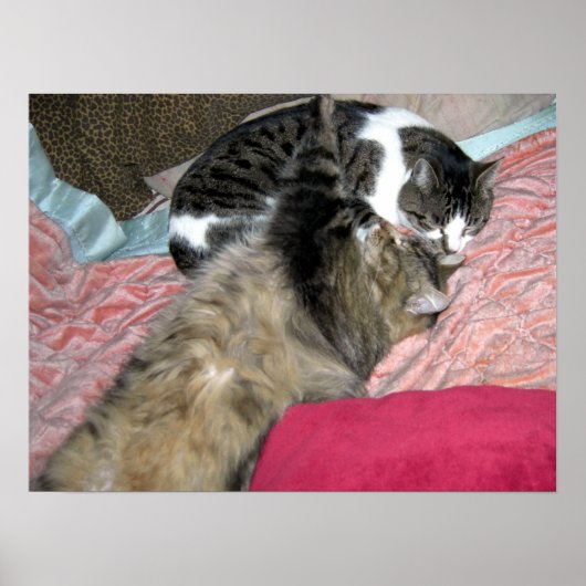 Poster Éminents (Devant)