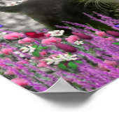 Poster Emma en Fleurs I - Petit chat Kitty Gris (Coin)