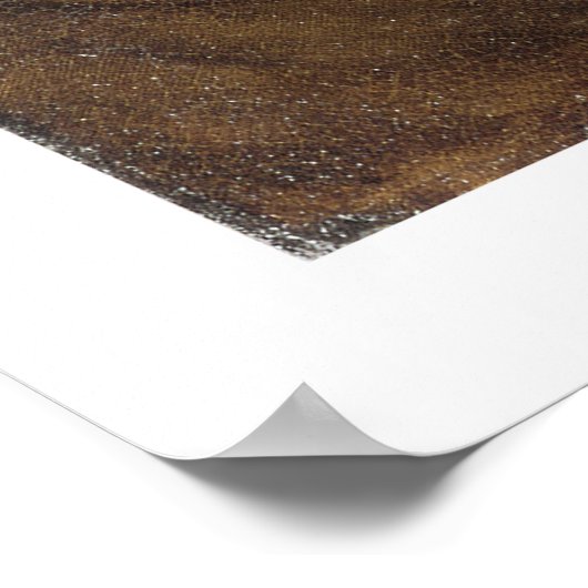 Poster Emma, Lady Hamilton (Coin)