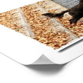 Poster Emma, le chien d'eau portugais (Coin)