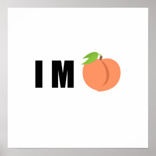 Poster Empêcher Trump