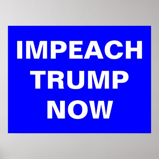 Poster Empêcher Trump maintenant (Devant)
