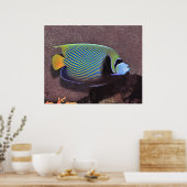 Poster Empereur Ange II (Cuisine)
