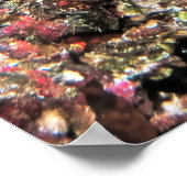 Poster Empereur des Anges (Coin)