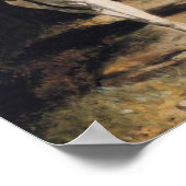 Poster Empereur Napoléon (Coin)