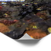 Poster Empereur Nusa Penida (Coin)