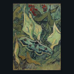 Poster Empereur ou grand paon Moth Van Gogh Art<br><div class="desc">Great Peacock Moth, Vincent van Gogh, Saint-Rémy, mai 1889. Huile sur toile, 33, 5 x 24, 5 cm. Amsterdam, Musée Van Gogh. F 610, JH 1702 Vincent Willem van Gogh (30 mars 1853 - 29 juillet 1890) était un artiste postimpressionniste néerlandais. Certaines de ses peintures sont maintenant parmi les oeuvres...</div>