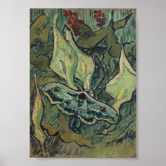 Poster Empereur ou grand paon Moth Van Gogh Art (Devant)