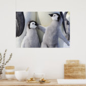 Poster Empereur Pingouin (Cuisine)