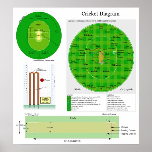 Poster Emplacement du terrain de cricket et diagramme des (Devant)