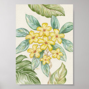 Poster Empreinte artistique Plumeria jaune