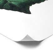 Poster Empreinte Botanique PREMIUM QUALITÉ (Coin)