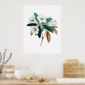 Poster Empreinte botanique Rhododendron (Cuisine)