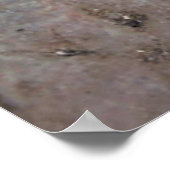 Poster Empreinte bouddhique Tibet (Coin)