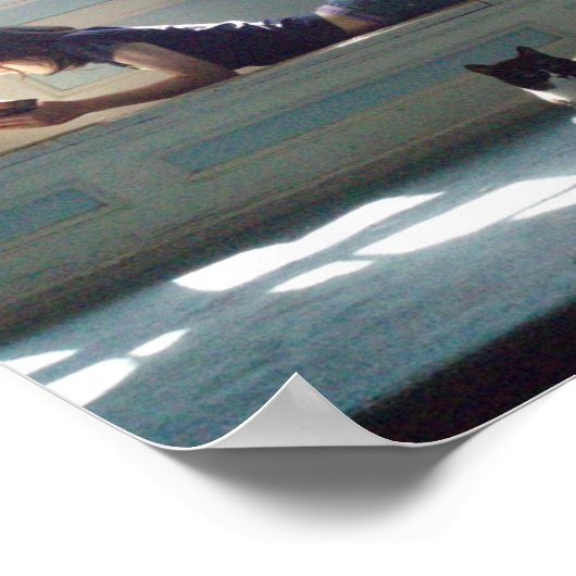 Poster Empreinte d'affiche de Beautés bronzantes (Coin)