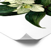 Poster Empreinte d'aquarelle botanique blanche (Coin)