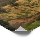 Poster empreinte de beauté des pins (Coin)