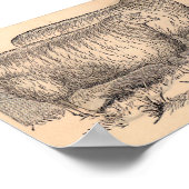 Poster Empreinte de brebis Cotswold du 19e siècle (Coin)