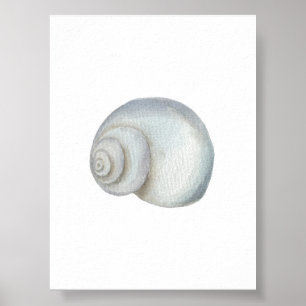 Poster Empreinte de coquillage