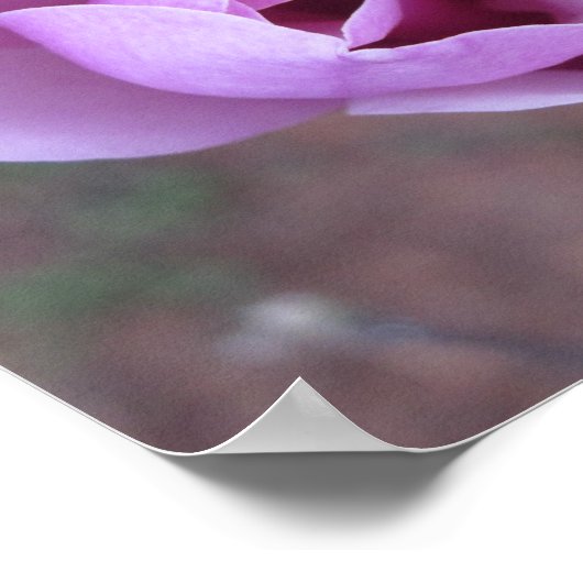 Poster Empreinte de fleurs violettes (Coin)