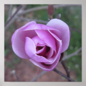 Poster Empreinte de fleurs violettes (Devant)