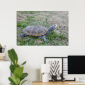 Poster empreinte de l'affiche de la tortue de diamondback (Bureau à domicile)